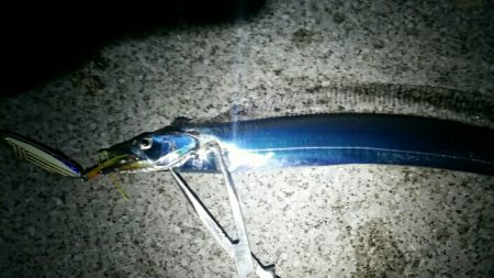 アタリはそこそこ、渋い中なんとか……