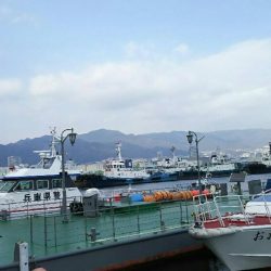 北公園でサビキ釣り イワシ