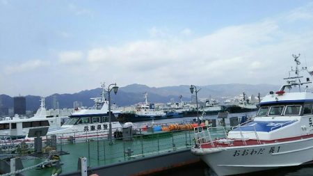 北公園でサビキ釣り イワシ