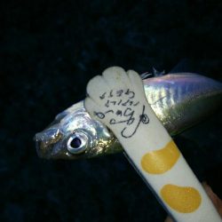 おしゃべりついでにライトゲーム