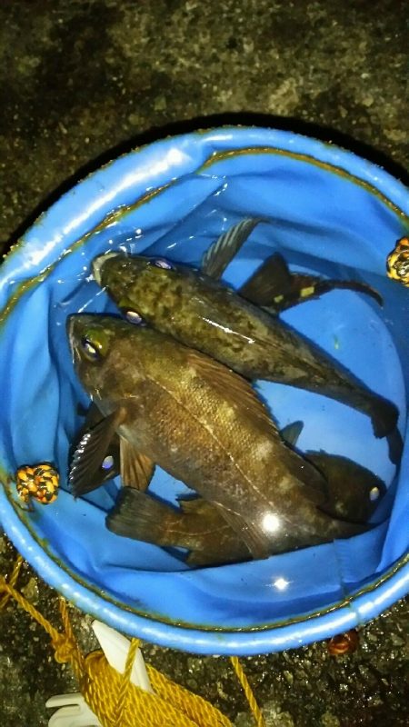 バーチカルコンタクトメバリング