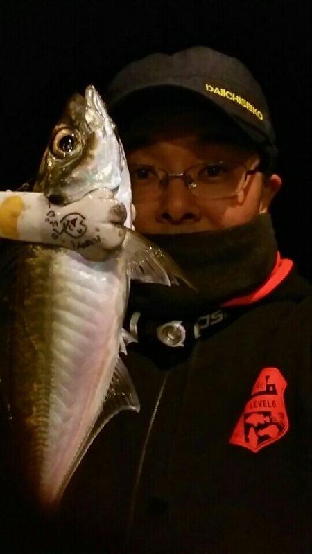 淡路島観光ホテルは今アジが激アツ！