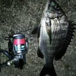 洲本から北上しながらランガン