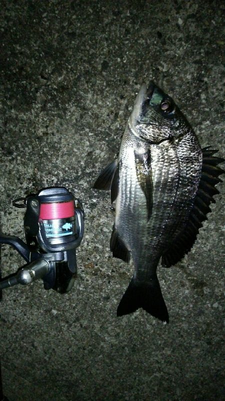 洲本から北上しながらランガン