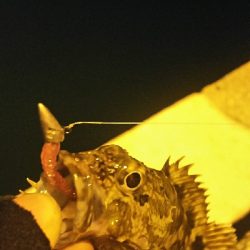 ナイフフィッシング