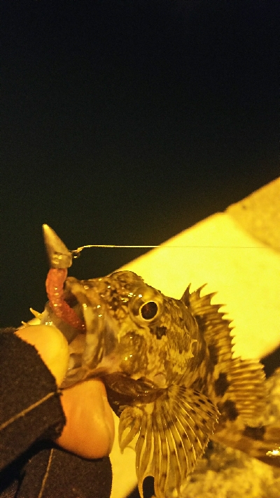 ナイフフィッシング