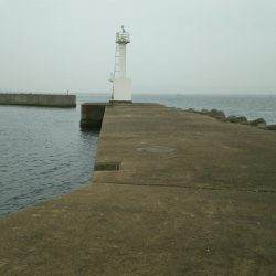 デイロックゲーム