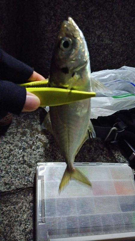 昨日のリベンジへ！