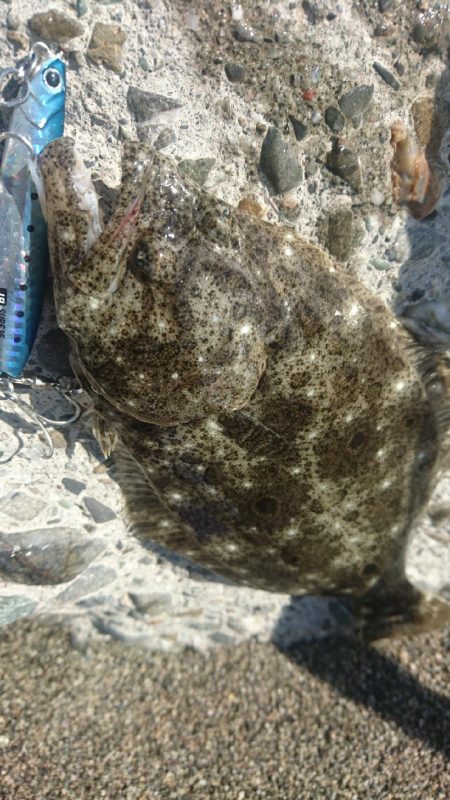 春野漁港周辺サーフ ショアジギング ヒラメ…