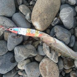 矢井賀サーフ ショアジギング