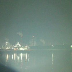 釣り納めしたはずが