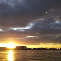 朝練 最大級と最小サイズ