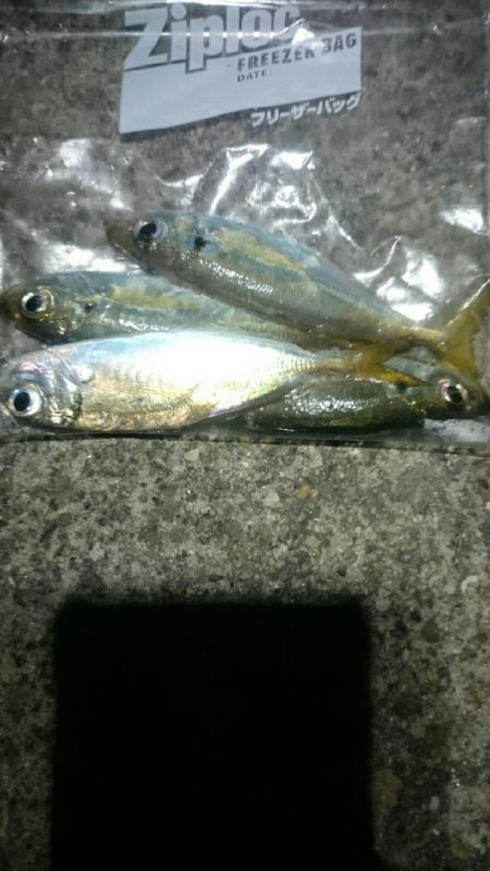 やっぱり風があると寒い。