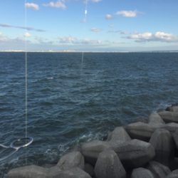 ハマチかサゴシを釣りたくて❗️