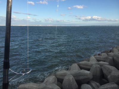 ハマチかサゴシを釣りたくて❗️