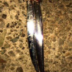 北風に負けずタッチーチャレンジ