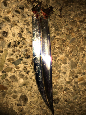 北風に負けずタッチーチャレンジ