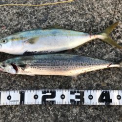 風を味方にして