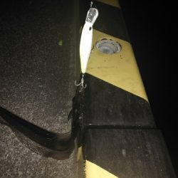 ナイトゲーム　タチウオ