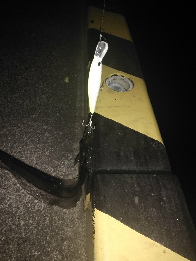 ナイトゲーム　タチウオ