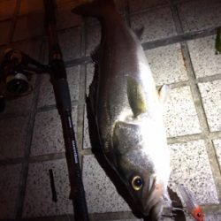 ミニエントのレンジ♪