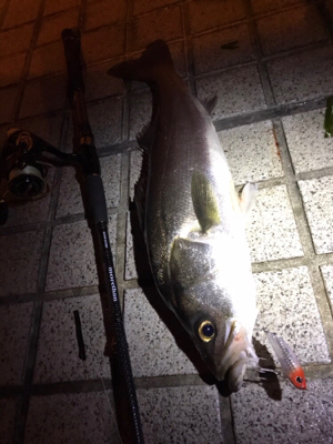 ミニエントのレンジ♪