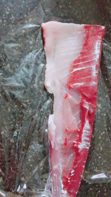 のませでメジロ