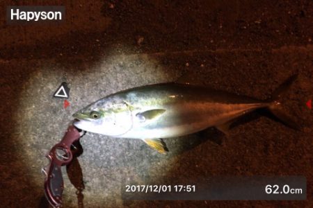 サヨリパターン