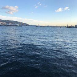 そろそろ終わりかな