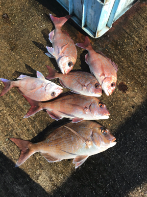 4日振りの平磯(^^)