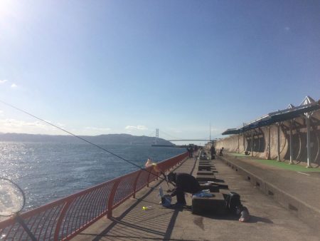 落第カゴ師でも釣れる平磯