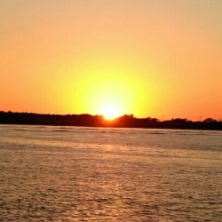 何とか坊主は逃れた