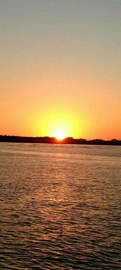 何とか坊主は逃れた