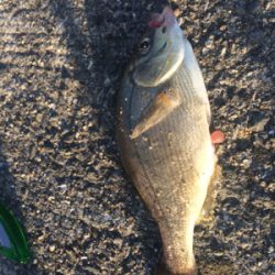 寒さに耐えたけど