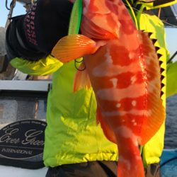 スロージギング