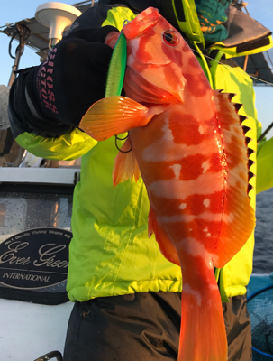 スロージギング