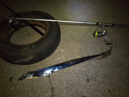 やっぱり1本しか釣れない…