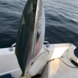 マイボート ジギング