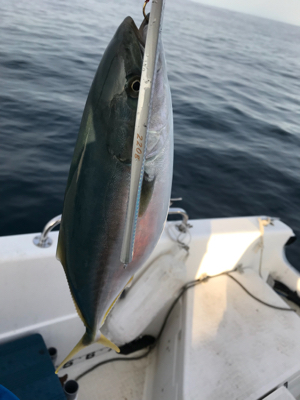 マイボート ジギング