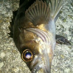 メーカーさんのイベント帰りに早速♪