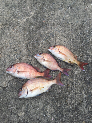 西流れ、激流(;_;)