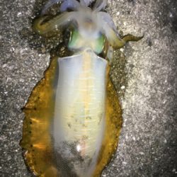 ぱたぱたと短時間で