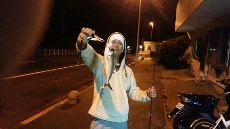 小笠原父島のメアジ