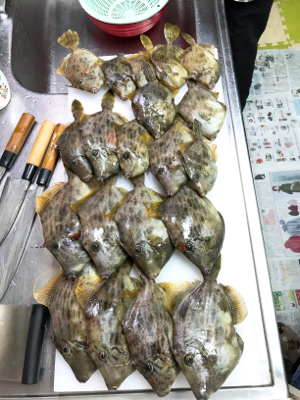 加太の三邦丸でアジとカワハギ