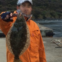 沖堤防で落とし込み釣り