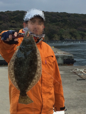 沖堤防で落とし込み釣り