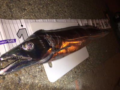 ドラゴンきました‼️