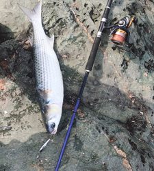 エキサイティングな釣りを楽しむ