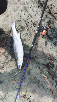 エキサイティングな釣りを楽しむ