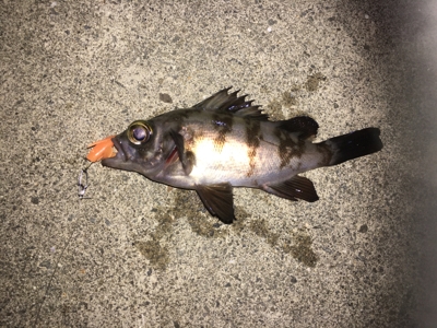 子供と夕マヅメに